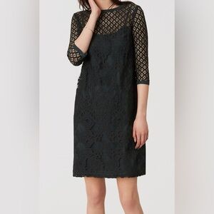 loft green Lace Dress
